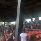 And the crowd goes wild!