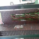 Doors of the Sonic